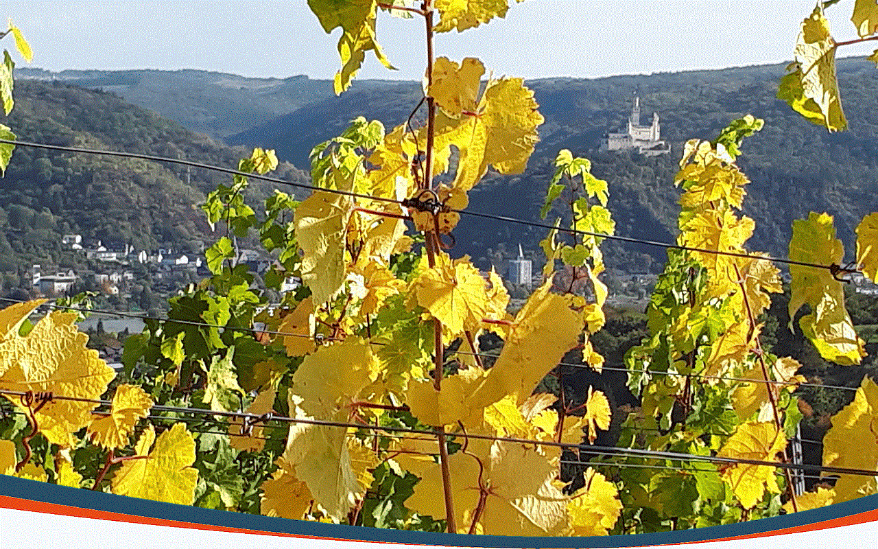 Foto: Weinlage Breyer Hämmchen