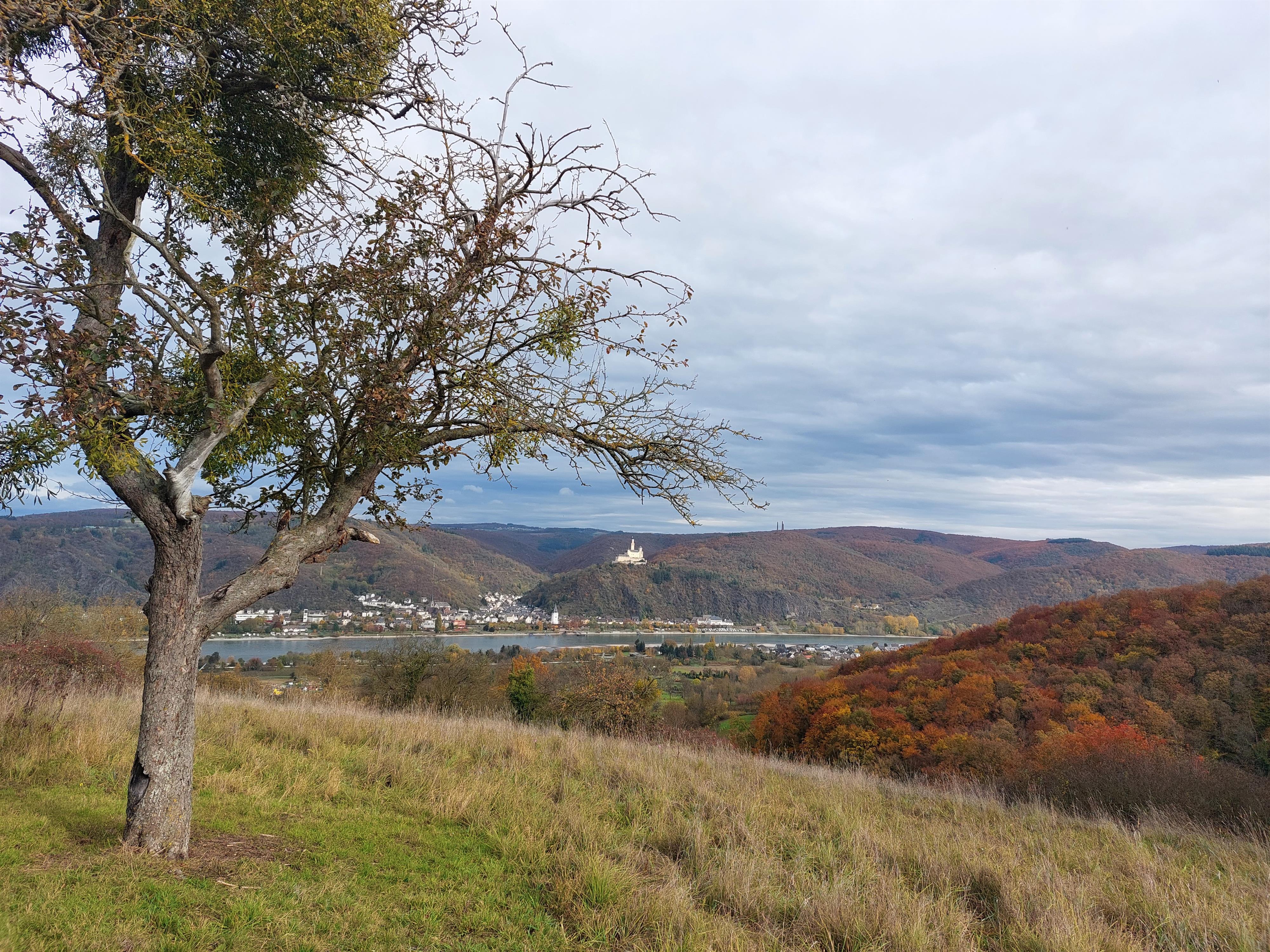 Foto: Herbst