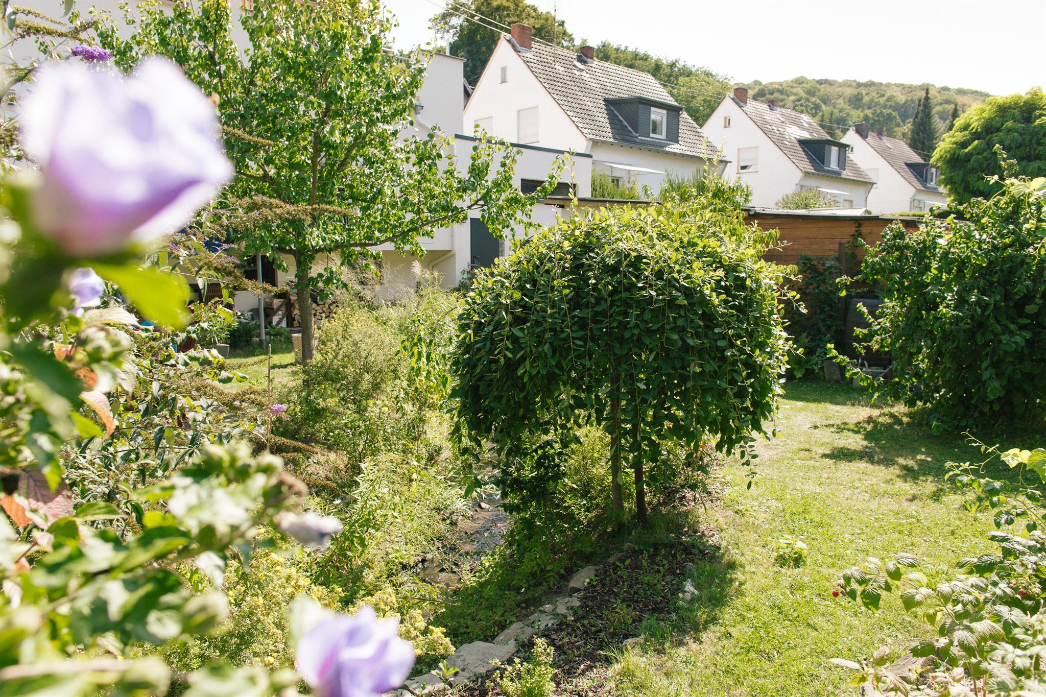 Foto: Gartenansicht