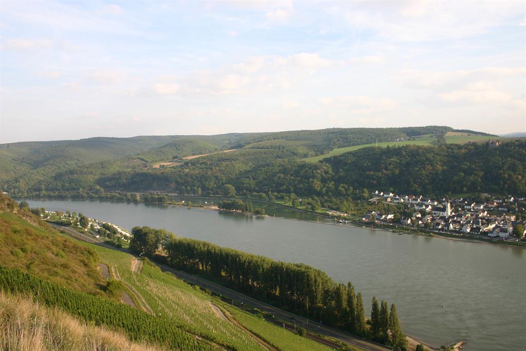 Foto: Weinberg